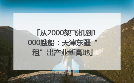 从2000架飞机到1000艘船：天津东疆“租”出产业新高地